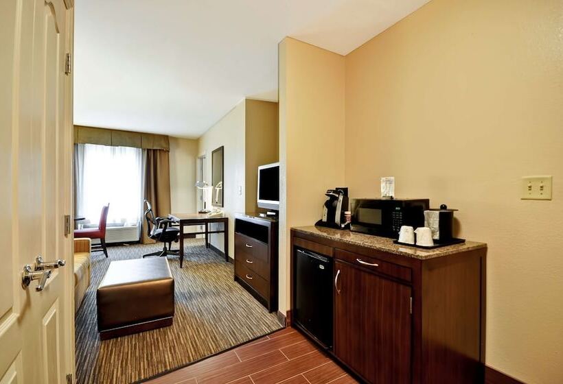 Полулюкс, Hilton Garden Inn Tampa North Busch Gardens