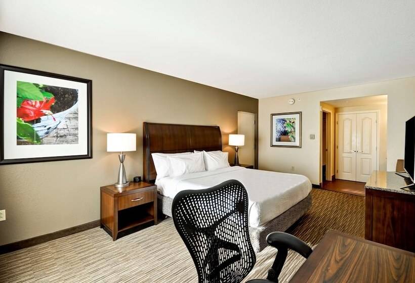Полулюкс, Hilton Garden Inn Tampa North Busch Gardens