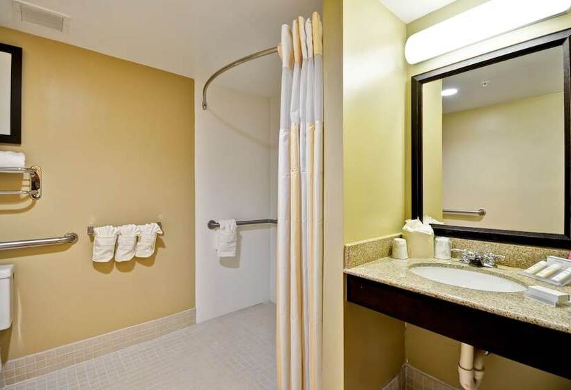 Люкс Адаптированный для Инвалидов, Hilton Garden Inn Tampa North Busch Gardens