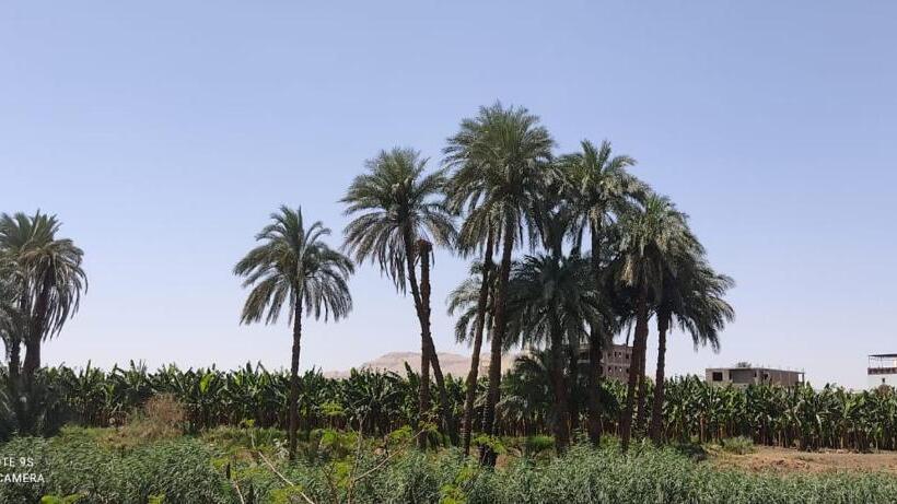 اتاق لوکس, Luxor Old Nile