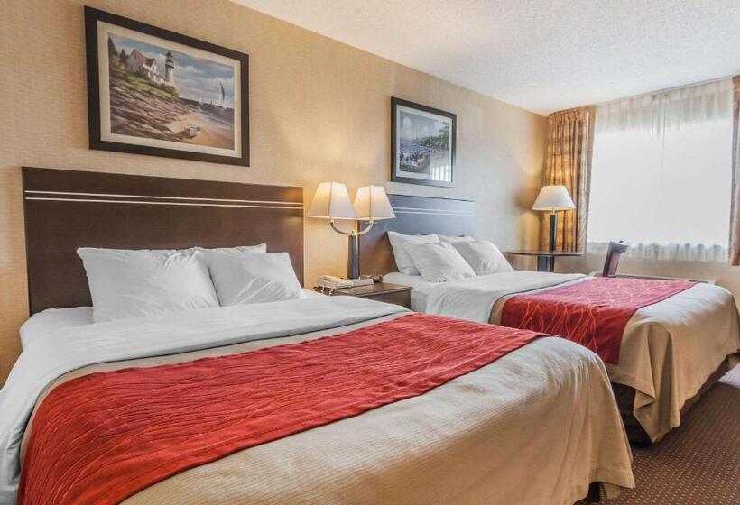 스탠다드 룸 더블 침대 2개, Comfort Inn On The Bay