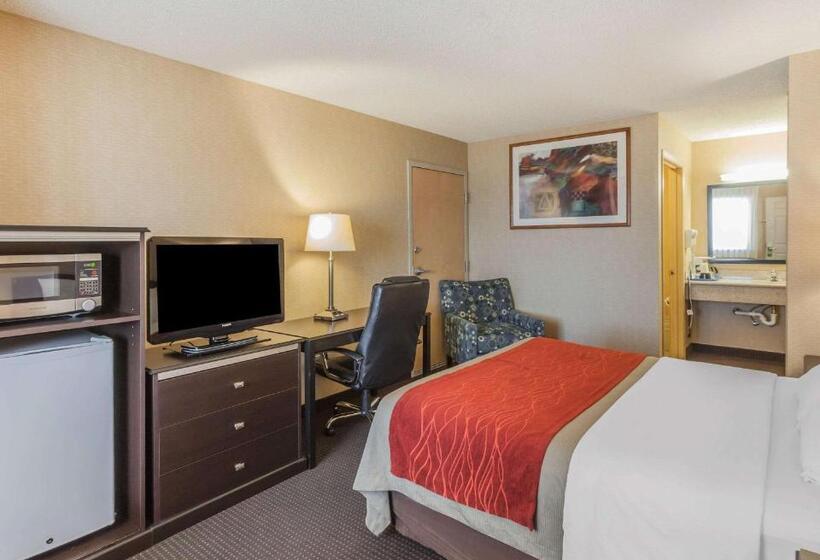 장애인을 위한 스탠다드 룸, Comfort Inn On The Bay
