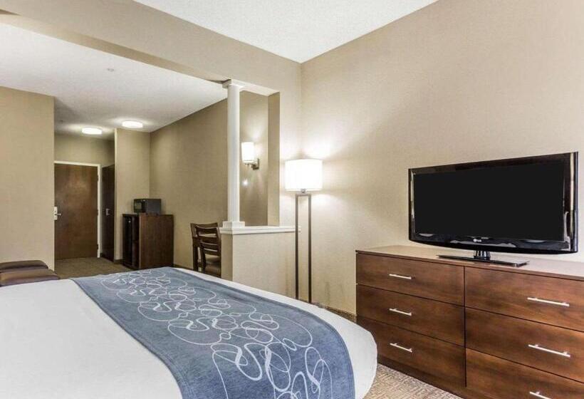 Mozgáskorlátozott Suite, Comfort Suites At Isle Of Palms Connector