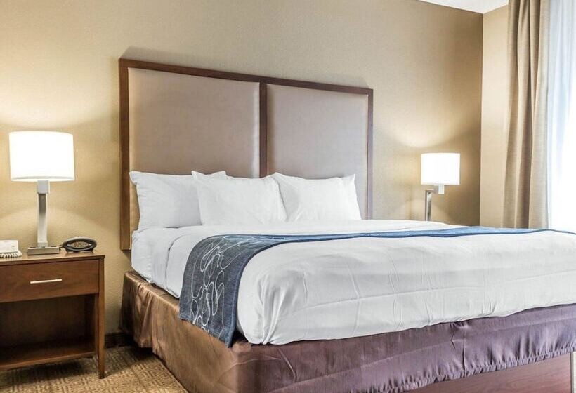 Mozgáskorlátozott Suite, Comfort Suites At Isle Of Palms Connector
