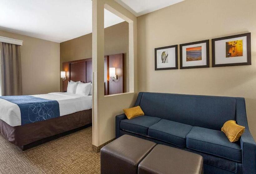 Люкс Адаптированный для Инвалидов, Comfort Suites At Rivergate Mall