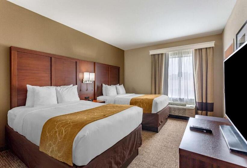 Люкс, Comfort Suites At Rivergate Mall
