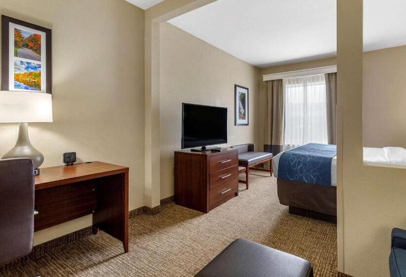 Люкс Кровать Кинг, Comfort Suites At Rivergate Mall