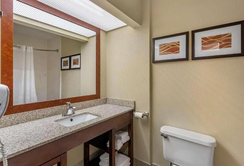 Люкс Кровать Кинг, Comfort Suites At Rivergate Mall