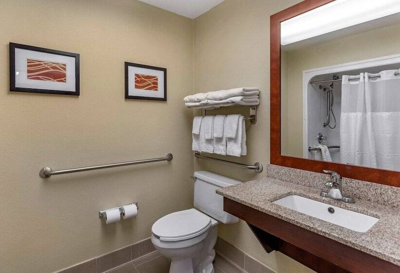 Люкс, Comfort Suites At Rivergate Mall