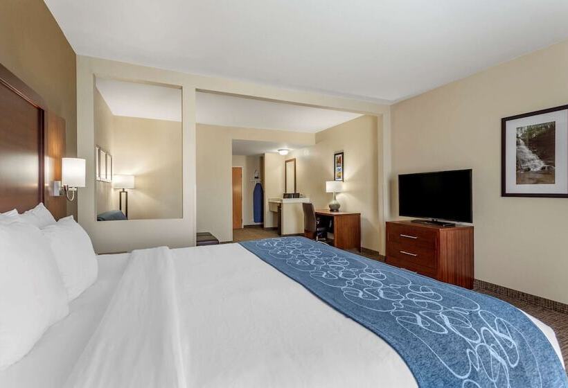 Люкс, Comfort Suites At Rivergate Mall