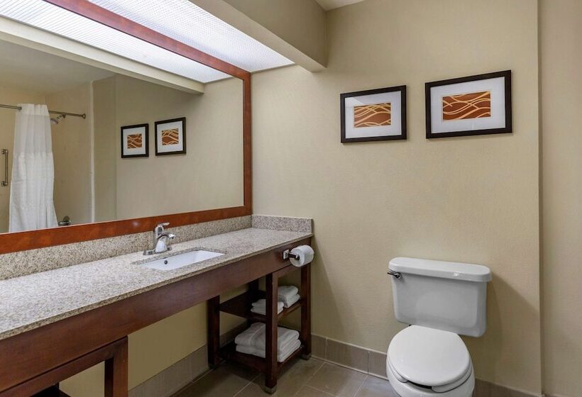 Люкс Адаптированный для Инвалидов, Comfort Suites At Rivergate Mall