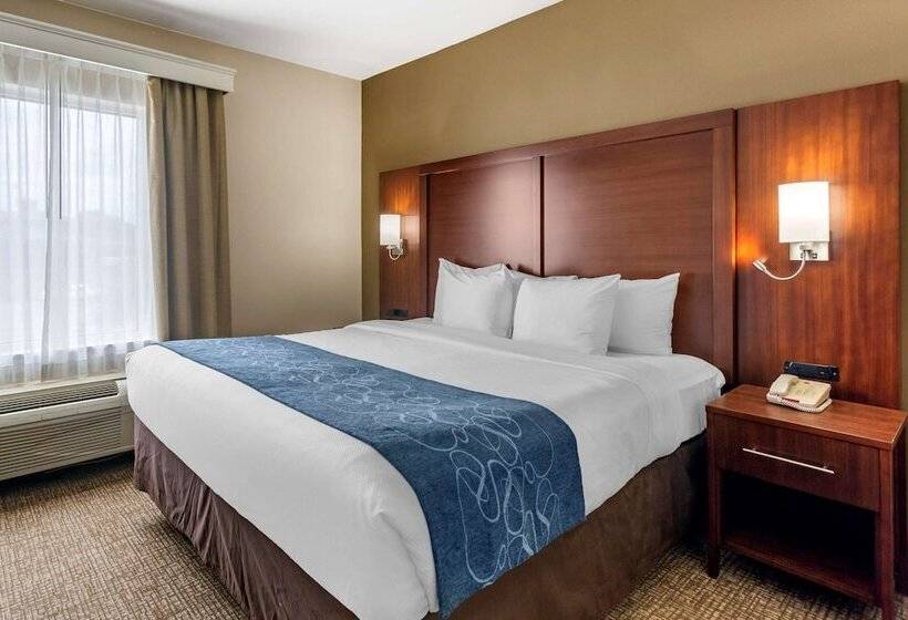 Люкс Адаптированный для Инвалидов, Comfort Suites At Rivergate Mall