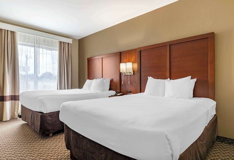 套房, Comfort Suites Medical Center Near Six Flags