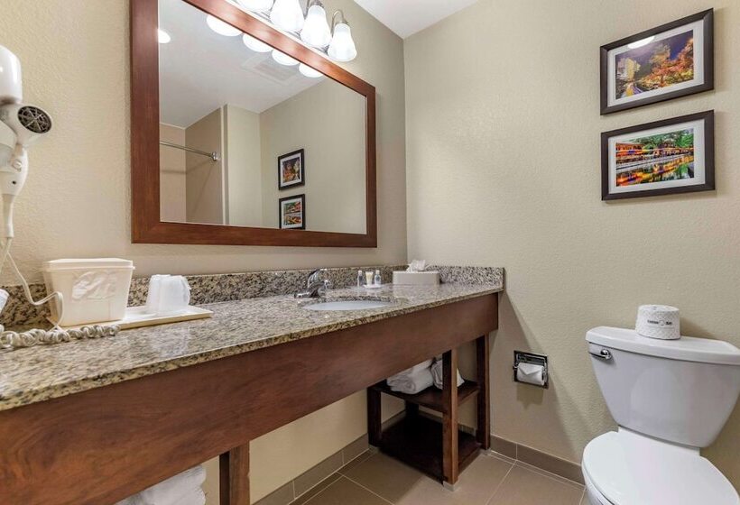 套房, Comfort Suites Medical Center Near Six Flags