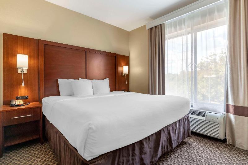 带大床的套房, Comfort Suites Medical Center Near Six Flags