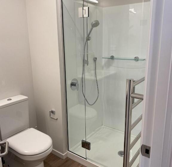 Студио Стандарт Кровать Кинг, Wyndham Garden Christchurch Kilmore Street