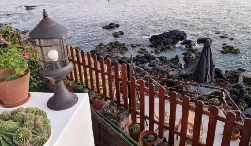 اتاق استاندارد, Cactus Guest House