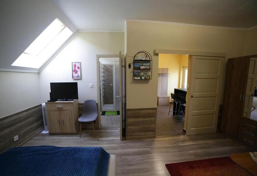 Апартаменты 1 Спальня с Видом, Fónagy Apartmanok