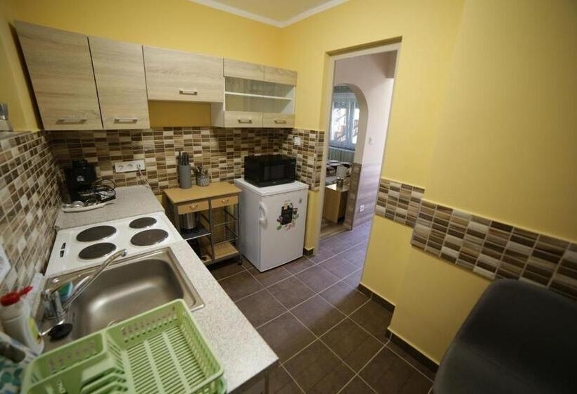 Апартаменты 1 Спальня Нижний Этаж, Fónagy Apartmanok