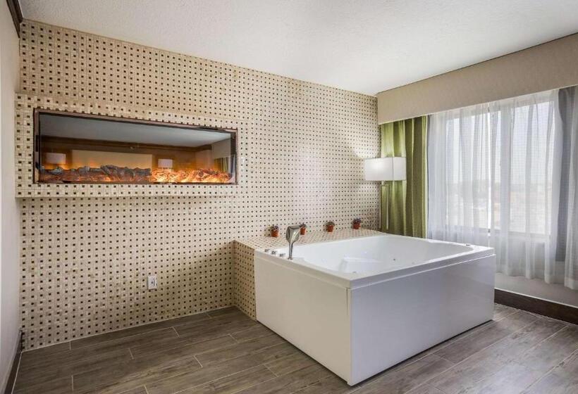 Люкс Superior, The Leo Collection Detroit, Ascend Hotel Collection