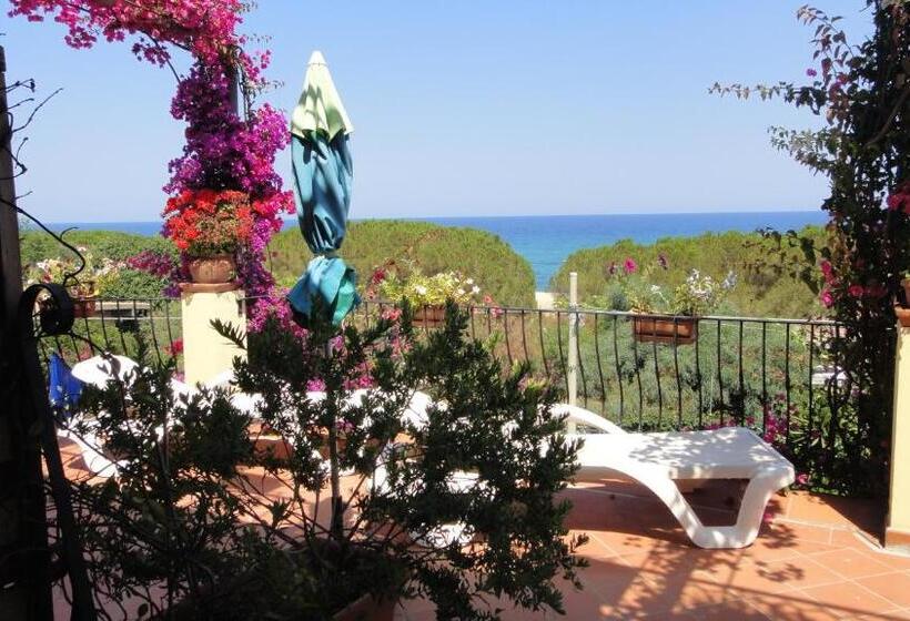 استودیوی سوپریور, Domus De Janas Sul Mare
