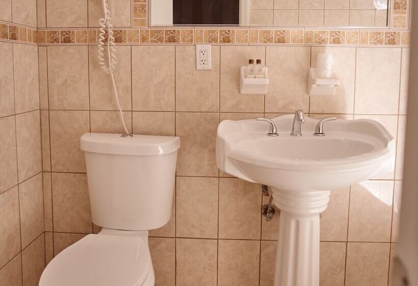 اتاق استاندارد با 2 تخت دوبل, St. James