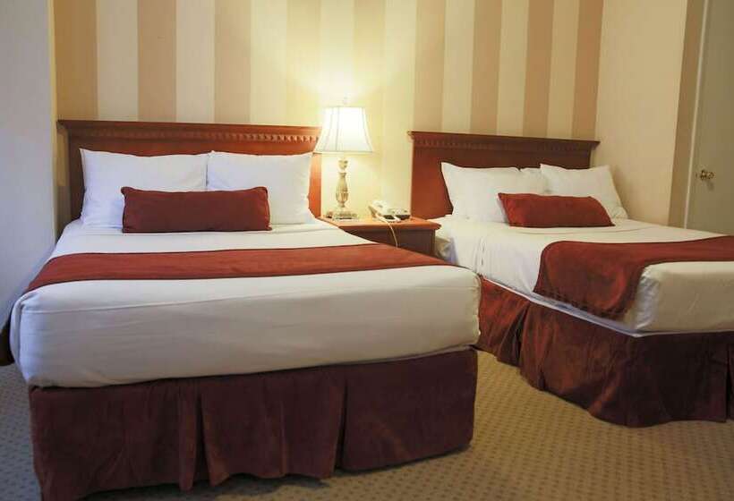 اتاق استاندارد با 2 تخت دوبل, St. James