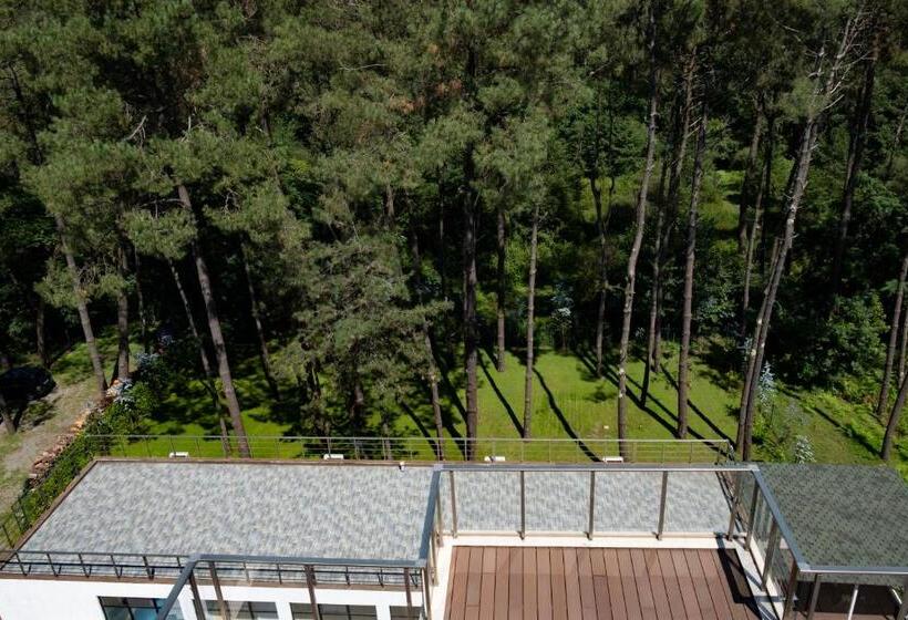 اتاق لوکس, Buxus Hotel Shekvetili