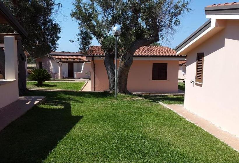 Студия Стандарт, Cilento Dreams Village