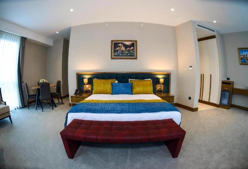 带大床的高级房间, Cher Hotel & Spa Istanbul Taksim