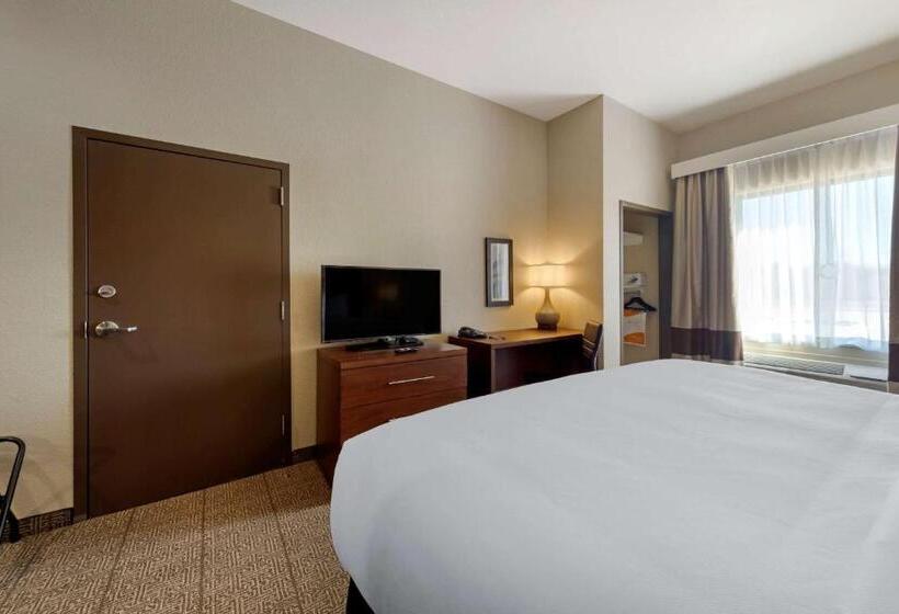 Номер Стандарт Кровать Кинг Адаптированный для Инвалидов, Comfort Inn & Suites Harrah