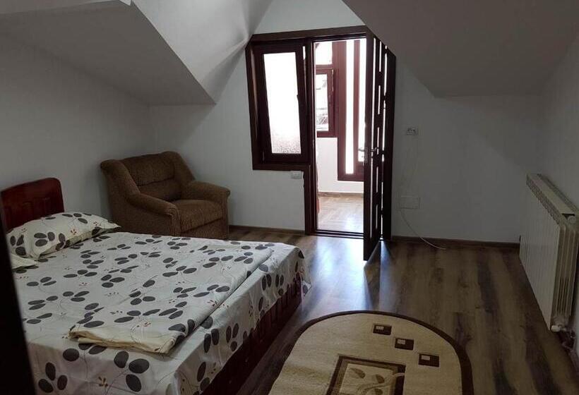 آپارتمان سوپریور 1 خوابه, Casa Olanesti