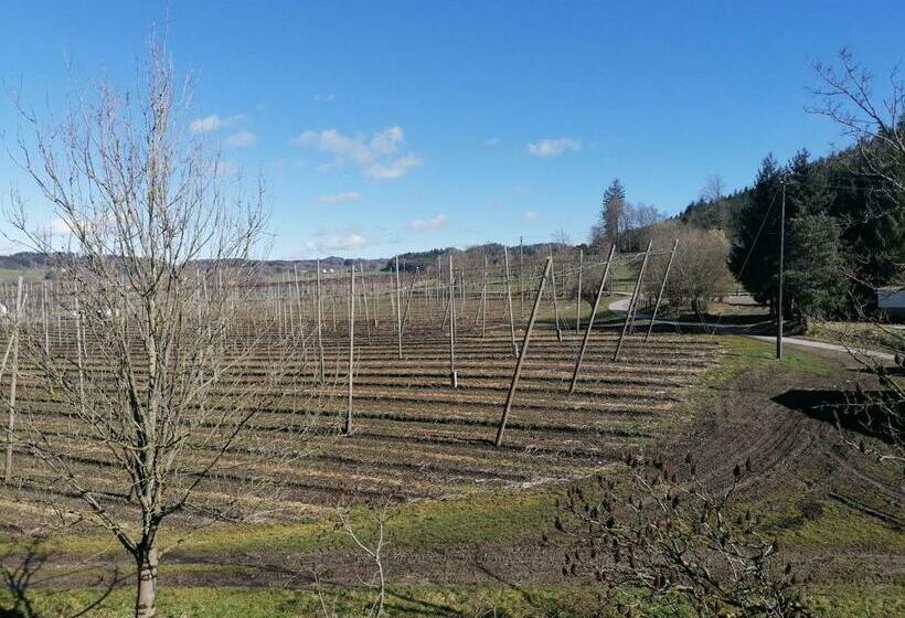 آپارتمان 2 خوابه, Ferienhof Hopfgärtle Müller