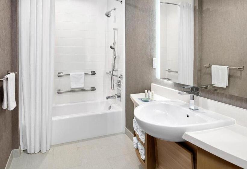 Люкс Кровать Квин, Springhill Suites By Marriott Riverside Redlands