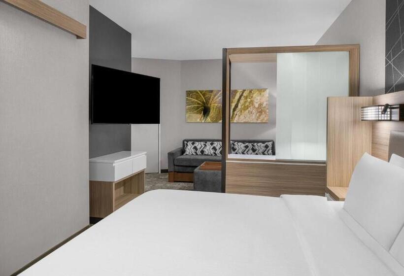 Люкс Адаптированный для Инвалидов, Springhill Suites By Marriott Riverside Redlands