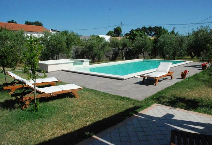 Апартаменты 1 Спальня, Paraiso