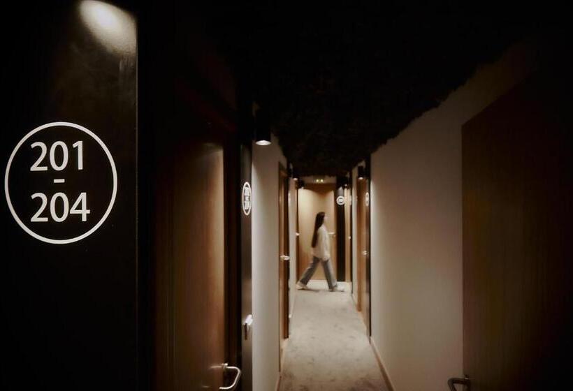 디럭스 룸, Zarey Hostel