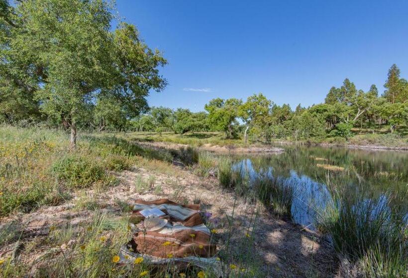 Номер Стандарт, Mystay   Herdade Do Vale Da Abelheira