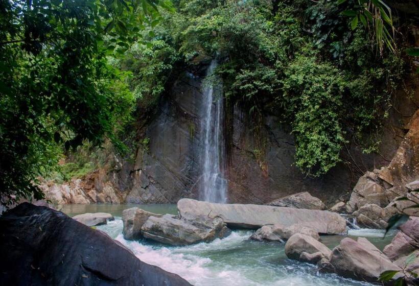 Семейный Номер, Jungle River