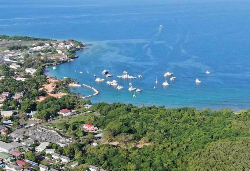 آپارتمان 1 خوابه, Carolina Point Resort