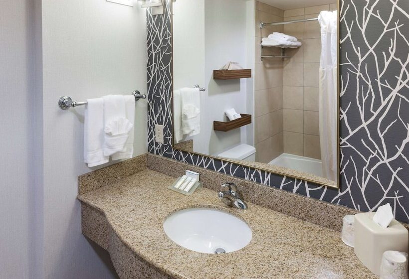 חדר סטנדרט מיטה זוגית, Hilton Garden Inn Austin North