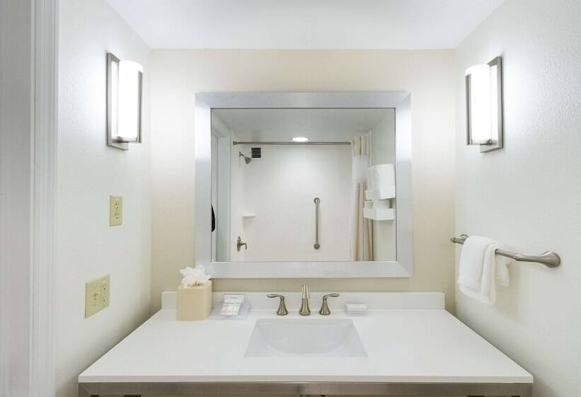 스탠다드 룸, Hilton Garden Inn Daytona Beach Airport