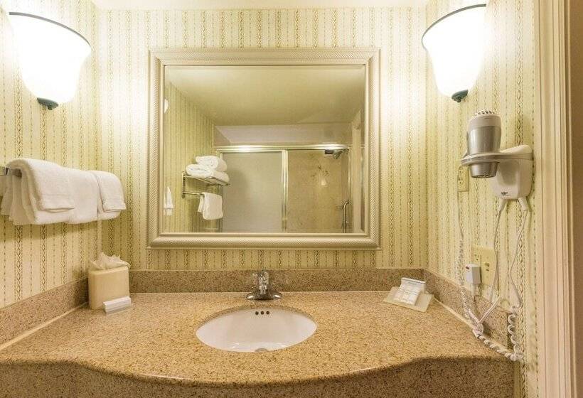 자쿠지 스위트, Hilton Garden Inn Daytona Beach Airport