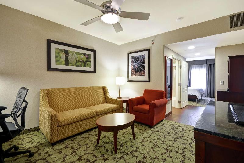 주니어 스위트 킹사이즈 침대, Hilton Garden Inn Fort Collins
