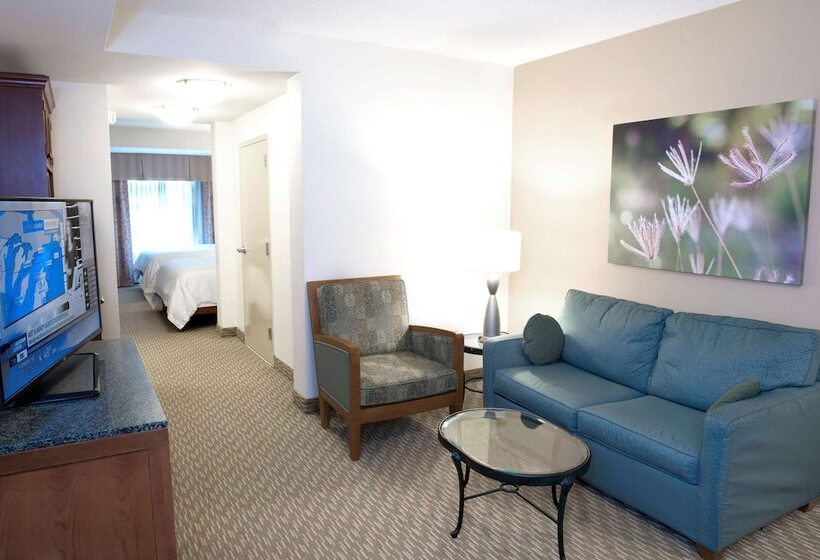スタンダードルーム, Hilton Garden Inn Rock Hill