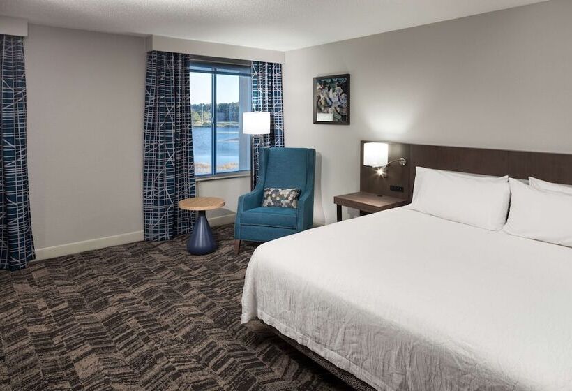 スタンダードルーム, Hilton Garden Inn Savannah Airport