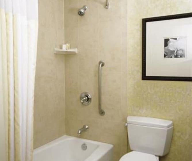 Полулюкс, Hilton Garden Inn Seattle North/everett