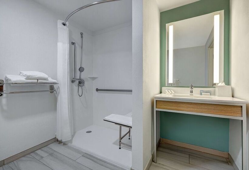 Люкс, Hilton Garden Inn Tampa Northwest/oldsmar