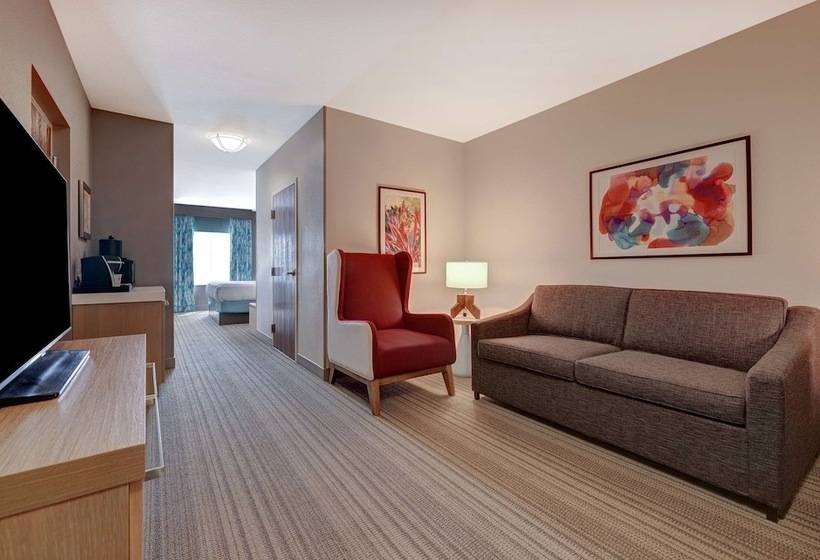 Люкс, Hilton Garden Inn Tampa Northwest/oldsmar