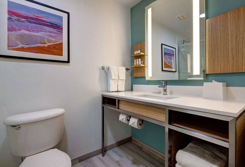 Номер Стандарт, Hilton Garden Inn Tampa Northwest/oldsmar
